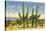 The Four Horsemen, Saguaro Cacti-null-Stretched Canvas