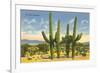 The Four Horsemen, Saguaro Cacti-null-Framed Premium Giclee Print