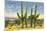 The Four Horsemen, Saguaro Cacti-null-Mounted Premium Giclee Print