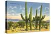 The Four Horsemen, Saguaro Cacti-null-Stretched Canvas