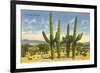 The Four Horsemen, Saguaro Cacti-null-Framed Art Print