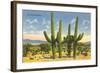 The Four Horsemen, Saguaro Cacti-null-Framed Art Print