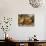 The Four Seasons - Autumn-Sebastian Vrancx-Giclee Print displayed on a wall