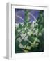 The Four Seasons: Spring, C.1919-Christopher Richard Wynne Nevinson-Framed Giclee Print