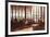 The Four Seasons, The Seagram Building, New York-Clive McCartney-Framed Giclee Print