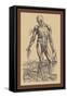The Fourth Plate of the Muscles-Andreas Vesalius-Framed Stretched Canvas