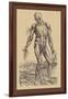 The Fourth Plate of the Muscles-Andreas Vesalius-Framed Art Print