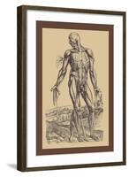 The Fourth Plate of the Muscles-Andreas Vesalius-Framed Art Print