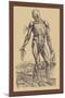 The Fourth Plate of the Muscles-Andreas Vesalius-Mounted Art Print