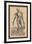 The Fourth Plate of the Muscles-Andreas Vesalius-Framed Art Print