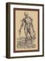 The Fourth Plate of the Muscles-Andreas Vesalius-Framed Art Print