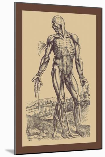 The Fourth Plate of the Muscles-Andreas Vesalius-Mounted Art Print