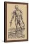 The Fourth Plate of the Muscles-Andreas Vesalius-Stretched Canvas