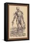 The Fourth Plate of the Muscles-Andreas Vesalius-Framed Stretched Canvas