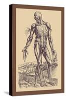 The Fourth Plate of the Muscles-Andreas Vesalius-Stretched Canvas