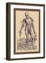 The Fourth Plate of the Muscles-Andreas Vesalius-Framed Art Print