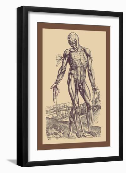 The Fourth Plate of the Muscles-Andreas Vesalius-Framed Art Print