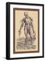 The Fourth Plate of the Muscles-Andreas Vesalius-Framed Art Print