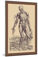 The Fourth Plate of the Muscles-Andreas Vesalius-Mounted Art Print