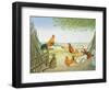 The Fowl and the Pussycat-Ditz-Framed Giclee Print