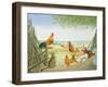 The Fowl and the Pussycat-Ditz-Framed Giclee Print