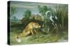 The Fox and the Crane from Aesop's Fables-Frans Snyders-Stretched Canvas