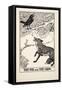 The Fox and the Crow,From A Hundred Fables of Aesop, Pub.1903 (Engraving)-Percy James Billinghurst-Framed Stretched Canvas