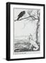 The Fox and the Crow, Illustration from 'Aesop's Fables', Published by Heinemann, 1912-Arthur Rackham-Framed Giclee Print