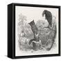 The Fox and the Crow-J.J. Grandville-Framed Stretched Canvas