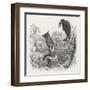 The Fox and the Crow-J.J. Grandville-Framed Art Print