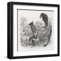 The Fox and the Crow-J.J. Grandville-Framed Art Print