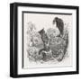The Fox and the Crow-J.J. Grandville-Framed Art Print