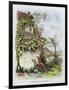 The Fox and the Grapes, La Fontaine's Fables-Gustave Fraipont-Framed Art Print