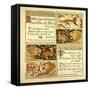 The Fox and the Mosquitoes the Fox and the Lion-null-Framed Stretched Canvas