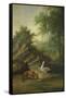 The Fox and the Stork, 1747 (Oil on Canvas)-Jean-Baptiste Oudry-Framed Stretched Canvas