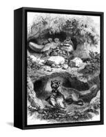 The Fox Burrow, Vintage Engraved Illustration. Magasin Pittoresque 1867.-Morphart-Framed Stretched Canvas