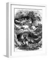 The Fox Burrow, Vintage Engraved Illustration. Magasin Pittoresque 1867.-Morphart-Framed Photographic Print