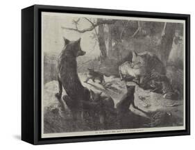 The Fox Family at Home-George Bouverie Goddard-Framed Stretched Canvas