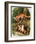 The Fox Family, Illustration from 'Once Upon a Time', 1971-John Chalkley-Framed Giclee Print