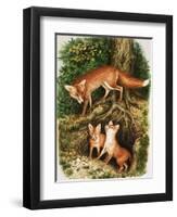 The Fox Family, Illustration from 'Once Upon a Time', 1971-John Chalkley-Framed Giclee Print