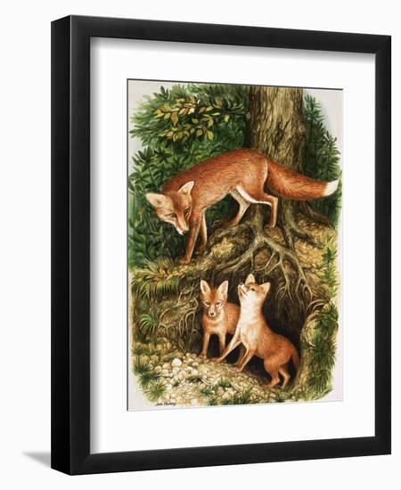 The Fox Family, Illustration from 'Once Upon a Time', 1971-John Chalkley-Framed Giclee Print