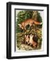 The Fox Family, Illustration from 'Once Upon a Time', 1971-John Chalkley-Framed Giclee Print