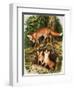 The Fox Family, Illustration from 'Once Upon a Time', 1971-John Chalkley-Framed Giclee Print