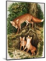 The Fox Family, Illustration from 'Once Upon a Time', 1971-John Chalkley-Mounted Giclee Print