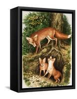 The Fox Family, Illustration from 'Once Upon a Time', 1971-John Chalkley-Framed Stretched Canvas