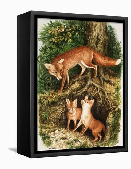 The Fox Family, Illustration from 'Once Upon a Time', 1971-John Chalkley-Framed Stretched Canvas