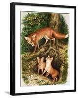 The Fox Family, Illustration from 'Once Upon a Time', 1971-John Chalkley-Framed Giclee Print