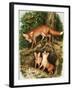 The Fox Family, Illustration from 'Once Upon a Time', 1971-John Chalkley-Framed Giclee Print