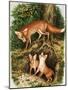 The Fox Family, Illustration from 'Once Upon a Time', 1971-John Chalkley-Mounted Giclee Print