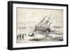 The Fox on a Rock Near Buchan Island, 1859-Walter William May-Framed Giclee Print